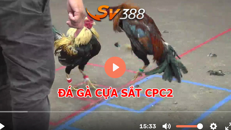 ĐÁ GÀ CPC2